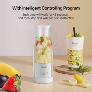 مخلوط کن قابل حمل یسیدو مدل EC17